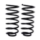 thumbnail image 2 of Resortes AG para Auto Delanteros para Volkswagen Jetta A4 (Reforzado) 1999 a 2015 2 Piezas Nuevos, 2 of 5