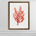 thumbnail image 4 of Coral Kelp I - Barnwood Framed - 23 x 31 - Maple, 4 of 4