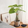 thumbnail image 5 of Round Plant Saucer, Heavy Duty Plant Tray for Pots, Plastic Flower Planter Saucers and Drip Tray, Flower Water Trays for Indoors, Bird Bath Bowls, Plant Drip Saucers for Planter, 11.02 Inches, 5 of 6