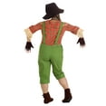 thumbnail image 3 of Fun Costumes Womens Exclusive Scarecrow Costume Set, 3 of 5