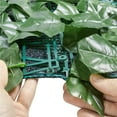 thumbnail image 5 of Yaheetech 38"x116" Solid Leaves Green Decorative Fence, Easy Assembly, Green, 5 of 7