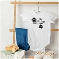 thumbnail image 4 of Siblings Have Paws Funny Animal Pet Romper Boys or Girls Infant Baby Brisco Brands 6M, 4 of 7