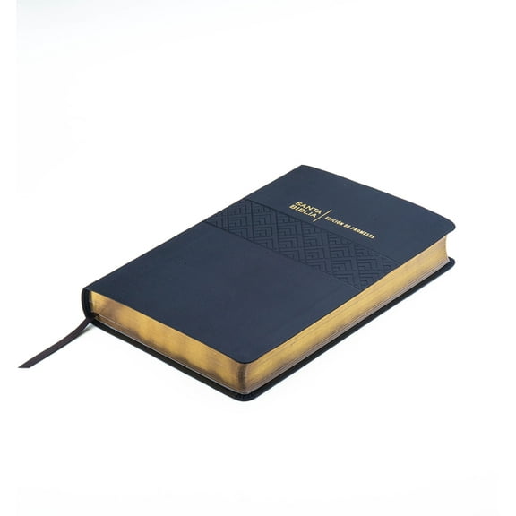 Biblia de Promesas Reina Valera 1960 / Letra Gigante - 13 Puntos / Piel Especial / Negra // Spanish Promise Bible Rvr60 , (Hardcover)