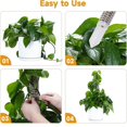 thumbnail image 2 of Stackable Transparent Plastic Moss Pole for Plants Monstera , Indoor Plant Accessories Support Stakes, Plant Stakes, 2 of 5
