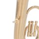 thumbnail image 1 of Miniature Tuba Model Brass Gold Plated Euphonium Mini Miniature Tuba Musical Instrument Model Gift With Base, 1 of 3
