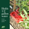 thumbnail image 5 of Dalen Gardeneer Tomato Tray Super Boost – Increases Tomato Plant Yield up to 40% – Easy to Install – 12" x 12" x 3.5" – Pack of 3, 5 of 6