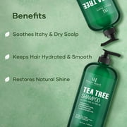 Botanic Hearth Tea Tree Shampoo – 100% Pure Tea Tree Oil, Vitamin C, Peppermint, Lavender & Rosemary Oil – Sulfate & Paraben Free, All Hair Types, 16 fl. oz