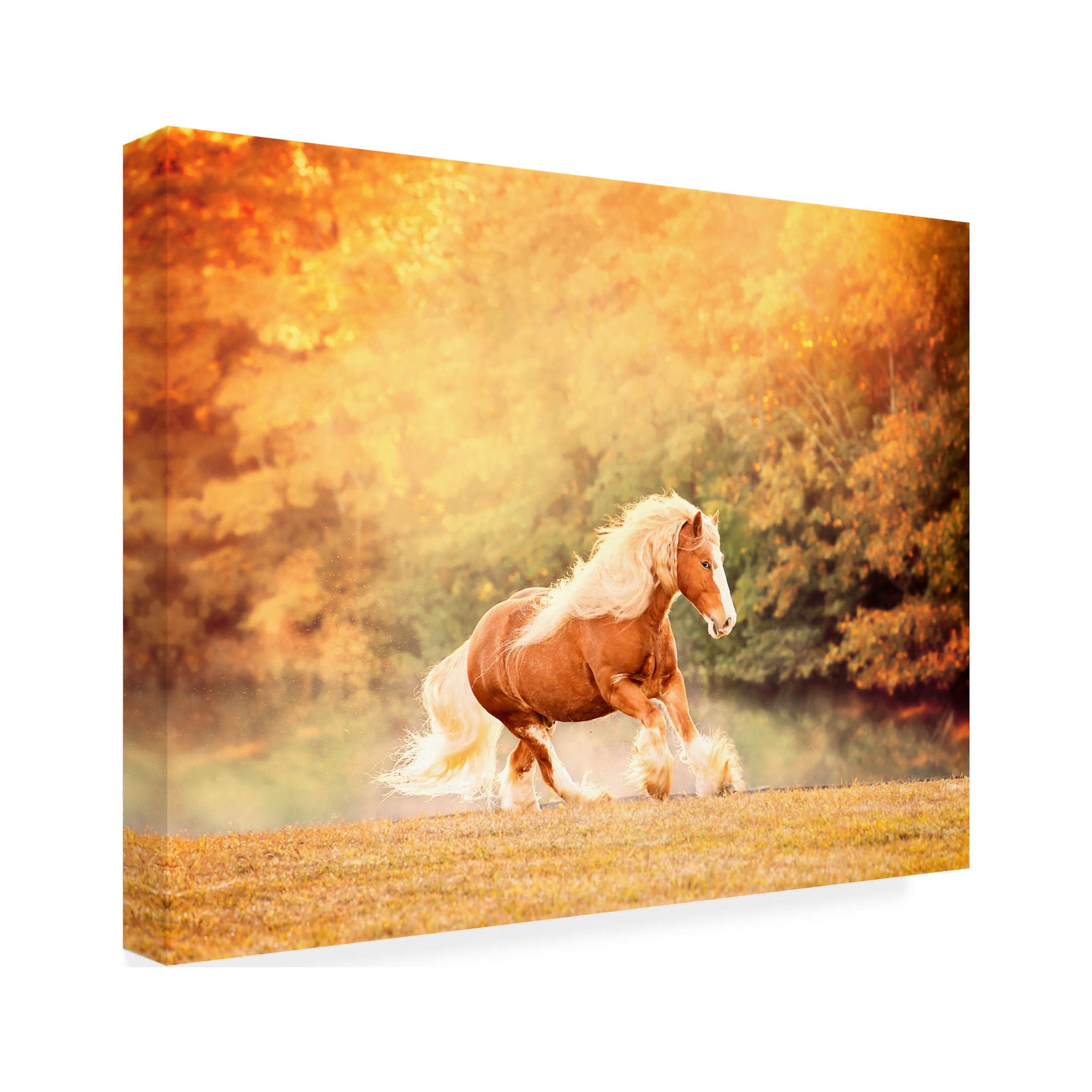 PHBurchett 'Horse Motion II' Canvas Art