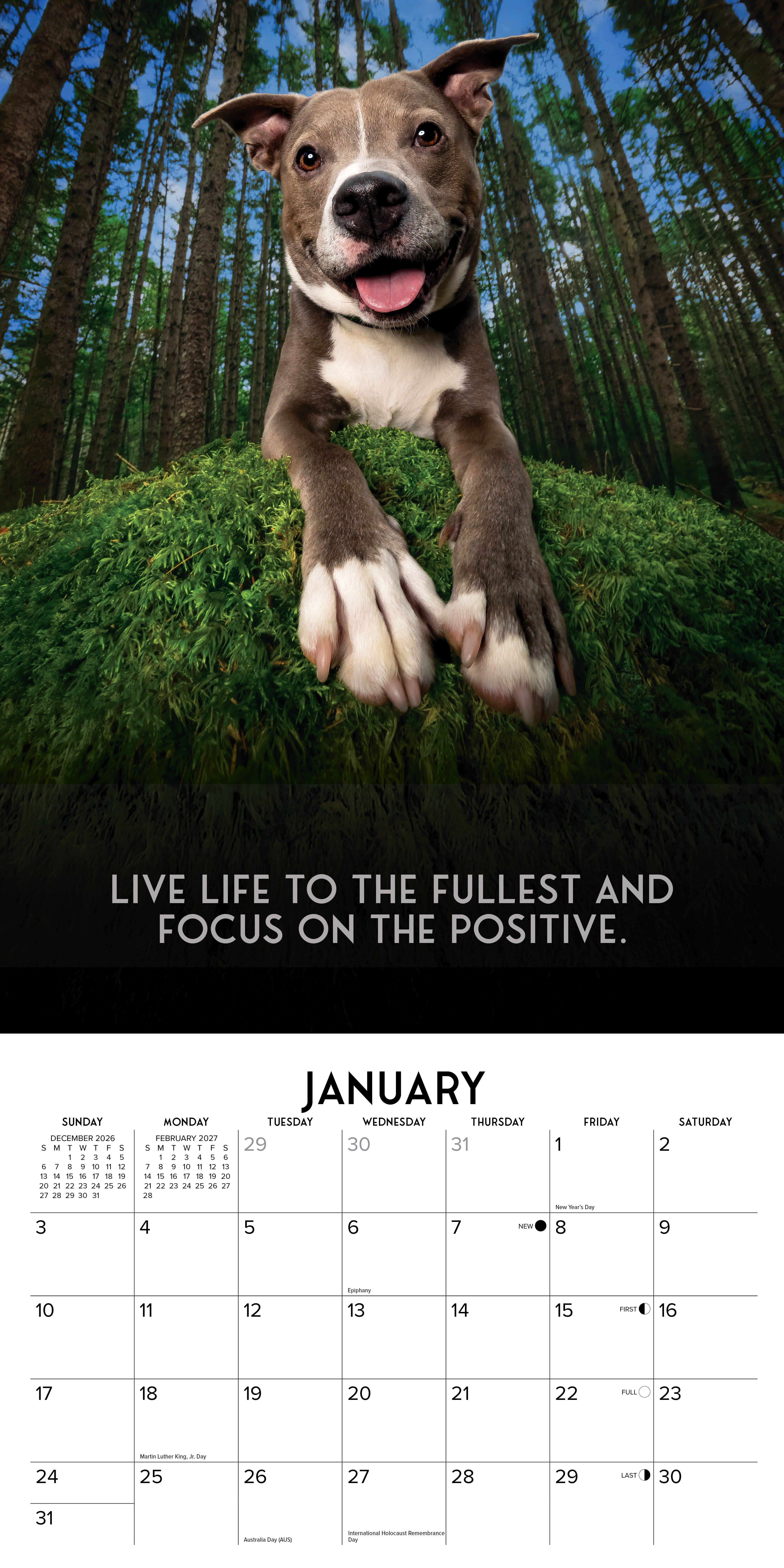 Willow Creek Press, Dog's Life 2027 Wall Calendar