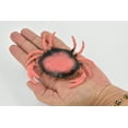 thumbnail image 3 of Crab, Dungeness Crab, Rubber, Crustaceans, Educational, Realistic, Hand Painted, Figure, Lifelike Figurine, Replica, Gift, 3 1/2" F6001 B378, 3 of 8