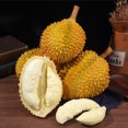 thumbnail image 2 of KAKOWELY Fruta artificial de durian, decoración de durian para el hogar, accesorio fotográfico, 2 of 5