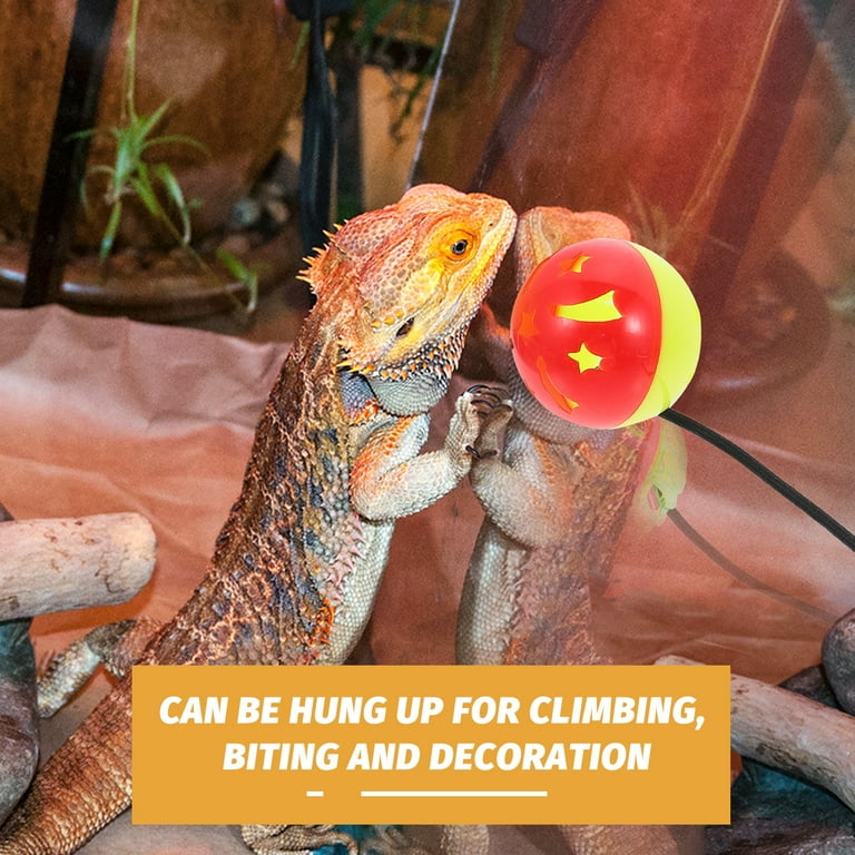 Pets at home reptile accessories hot sale