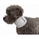 thumbnail image 3 of Breathable Dog Collar Post Surgery Cat Collar Promotes Wound Healing Easy to Wear for Dogs and Cats Neck Protection Recovery Rose S, 3 of 5