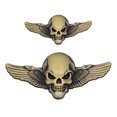 thumbnail image 4 of HLONK 3D Skeleton Skull Wing Emblems Metal Badge Car Badge Sticker Car Grill Body Trunk Badge Sticker Decal, 4 of 7
