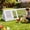 Off-White, variant on Small Wooden Chicken Coop Quail Coop for 2-4 Chickens Outdoor | with  Asphalt Roof, Ramp, and Multiple Doors Openable Top Pull-Out Tray Suitable for Outdoor Backyard ()