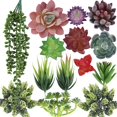 thumbnail image 1 of Plantas suculentas artificiales CEWOR, 14 unidades, sin maceta, realistas, 1 of 7