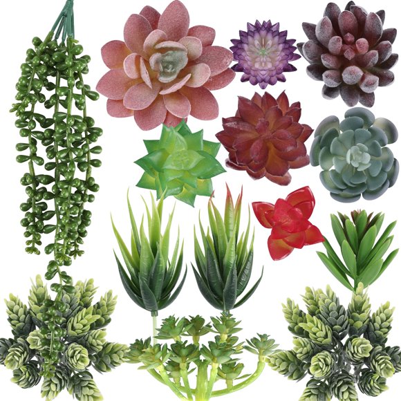 Plantas suculentas artificiales CEWOR, 14 unidades, sin maceta, realistas