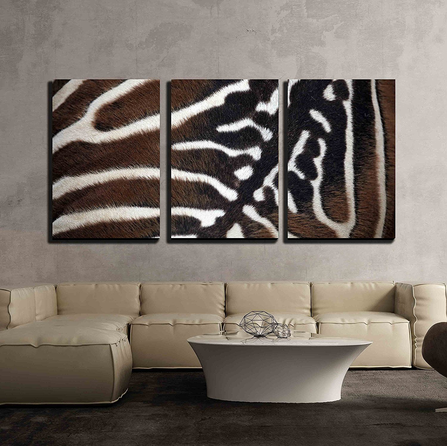 wall26 3 Piece Canvas Wall Art - Maneless Zebra (Equus Quagga Borensis ...