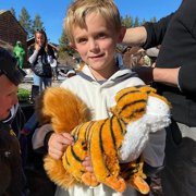 RANDIMALS Squiger Squirrel–Tiger Hybrid Plush Stuffed Animal Toy 17, Soft & Huggable, Encourages Imagination & Adventure