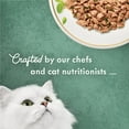 thumbnail image 5 of Purina Fancy Feast Medleys Cat Food, Wet Cat Food, Shredded Salmon & Spinach, 3 oz Cans (24 Pack), 5 of 8