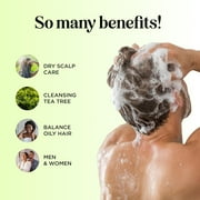 Clarifying Shampoo for Build Up & Oily Hair - Tea Tree Shampoo for Men and Women with Rosemary Essential Oil for Oily Hair and Scalp - Color Safe Vegan Sulfate Silicone & Paraben Free (10 Fl Oz)