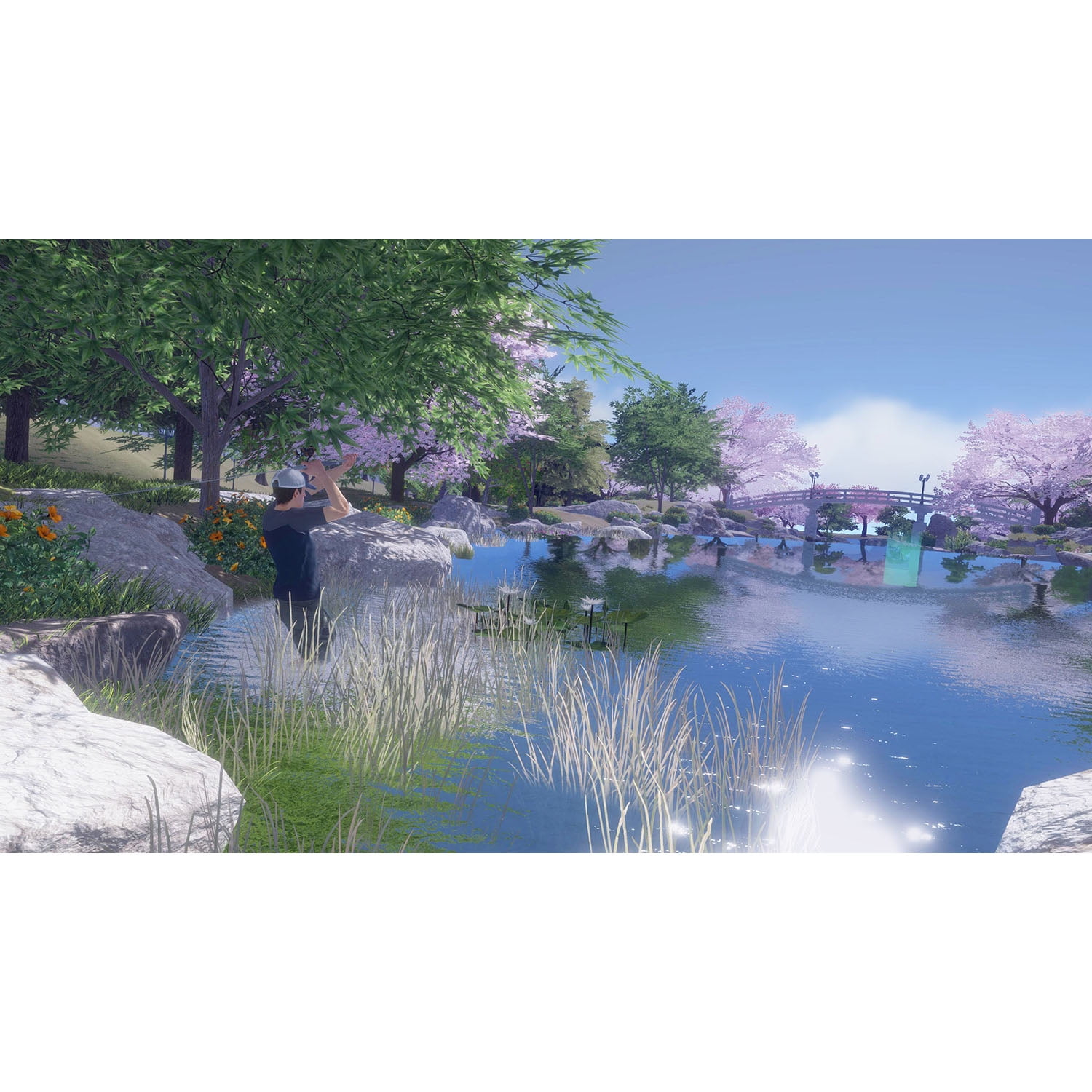 Pro Fishing Simulator, Maximum Games, PlayStation 4, 814290014612