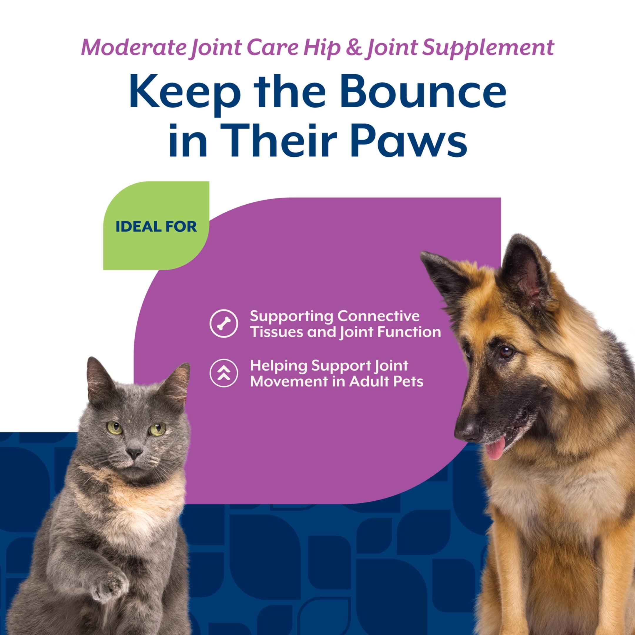 NaturVet Moderate Joint Care Hip & Joint Supplement for Dogs and Cats, Bacon and Chicken Flavor, 120 Count