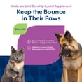 thumbnail image 6 of NaturVet Moderate Joint Care Hip & Joint Supplement for Dogs and Cats, Bacon and Chicken Flavor, 120 Count, 6 of 9
