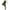 Army Green, variant on Ltctricy Skinny Jeans for Women Trendy High Waisted Stretchy Tight Pull on Pants Casual Jean Leggings with Pockets