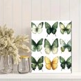 thumbnail image 2 of Qisvanset Framed Canvas Wall Art 12x16 Inch Sage Green Watercolor Butterfly Nursery Print Art, 2 of 5