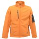 thumbnail image 1 of Regatta - Chaqueta Softshell transpirable e impermeable modelo Arcola para hombre (Naranja/Gris), 1 of 3