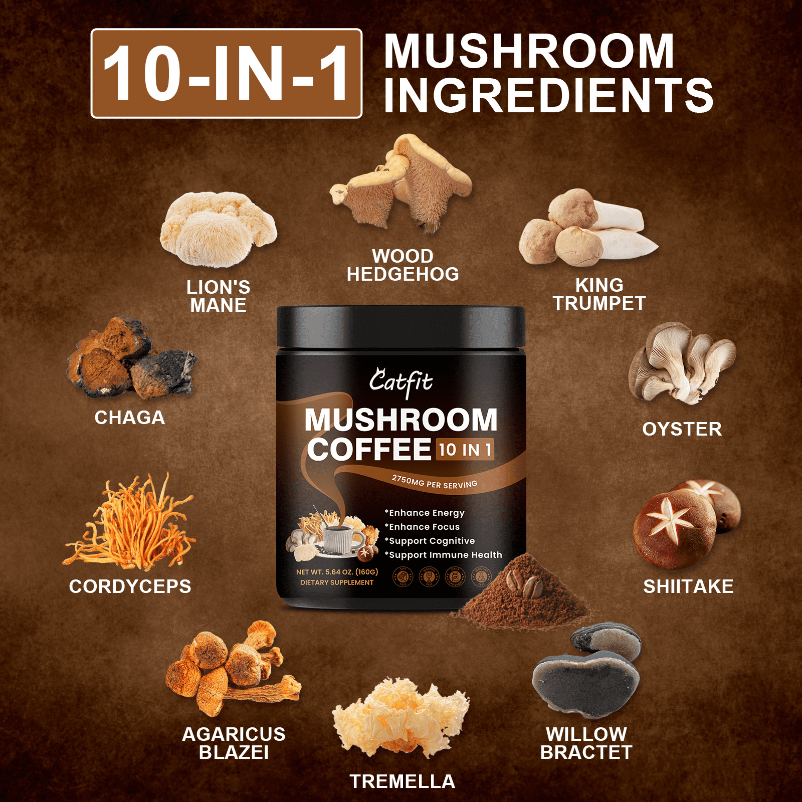 (2 Pack) Mushroom Coffee Powder 2750 mg, 10-in-1 Mushroom Complex Supplement 160g (5.64 oz), By Catfit