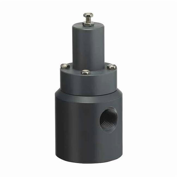 Plast-O-Matic Pressure Relief Valve,1/2In,5 to 100 psi RVD050V-PV