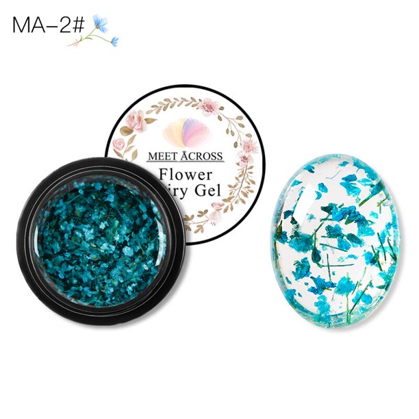 MEET A TRAVÉS de flores, esmalte de uñas en Gel, serie de hadas de flores secas naturales, Gel UV para decoración de uñas DIY, pintura para decoración de uñas Tan Jianjun unisex