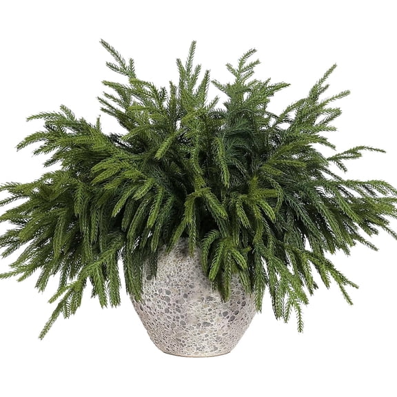 16 Pcs Christmas Real Touch Artificial Norfolk Pine Branches - 18 Inch Faux Cedar Pine Stem Fake Greenery Pine Picks for Vase DIY Garland Wreath Home Decoration Indoor Christmas Decor