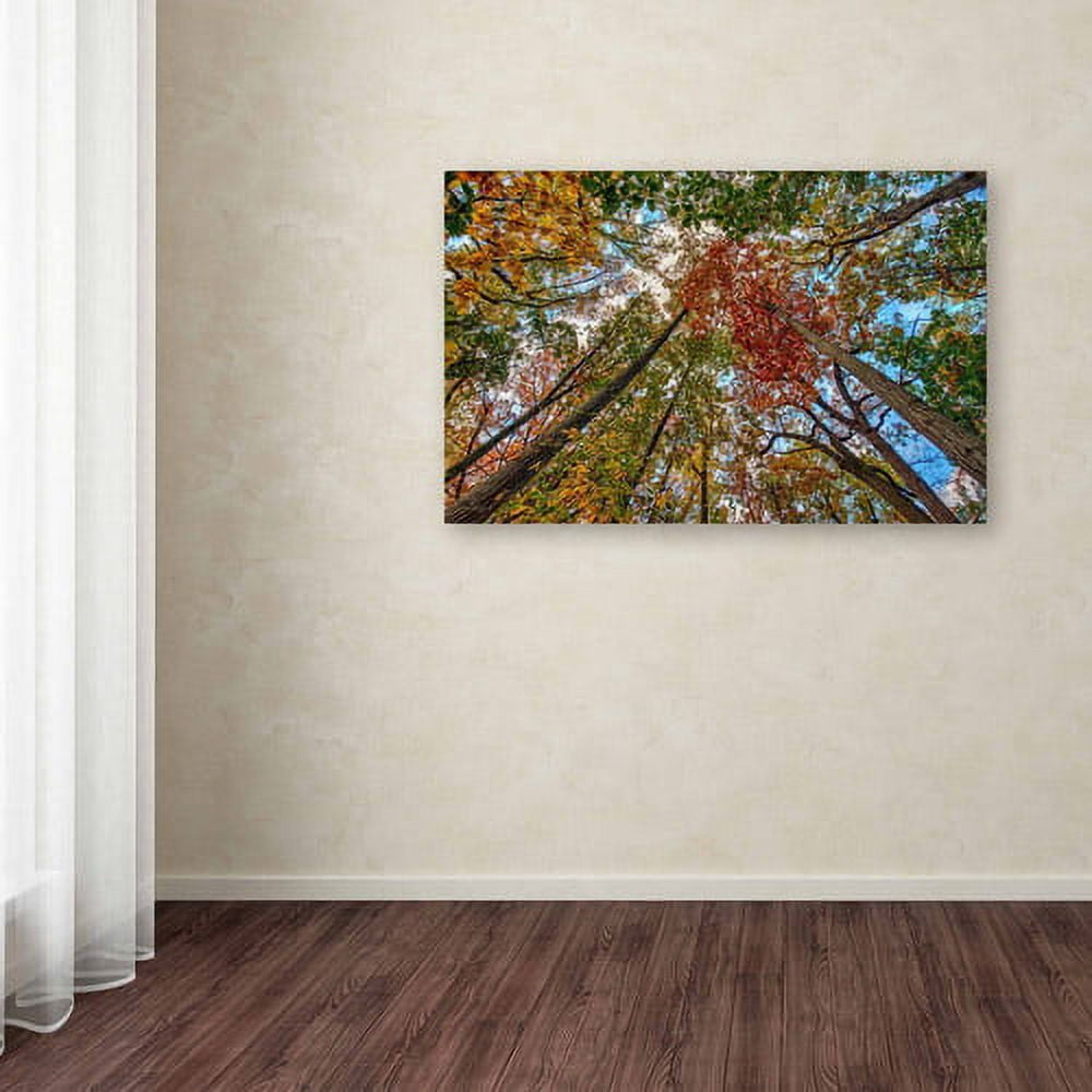 Trademark Fine Art "New York Fall-I" Canvas Art by David Ayash