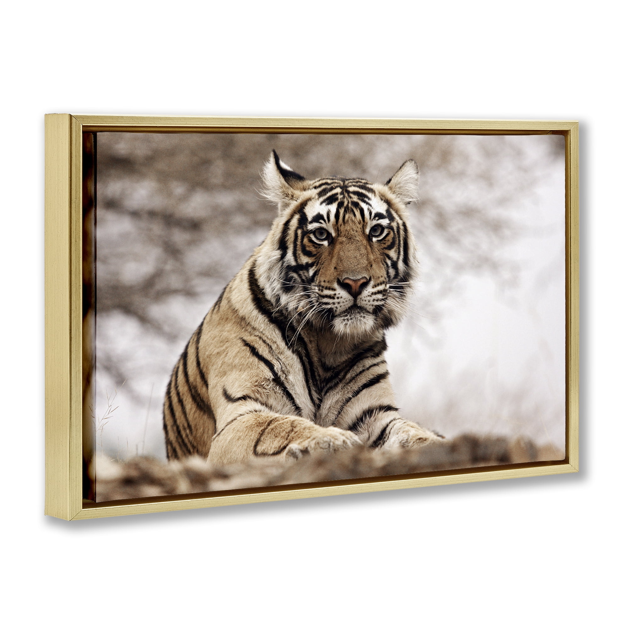 Stupell Industries Strong Tiger Atop Hill Animals & Insects Photography Gold Floater Framed Canvas Art Print Wall Art, 31 x 21