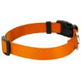 thumbnail image 6 of Country Brook Design&reg; Deluxe Nylon Dog Collar and Leash, 6 of 7