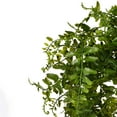 thumbnail image 2 of Vickerman 30" Artificial Green Buckler Fern Vine., 2 of 9