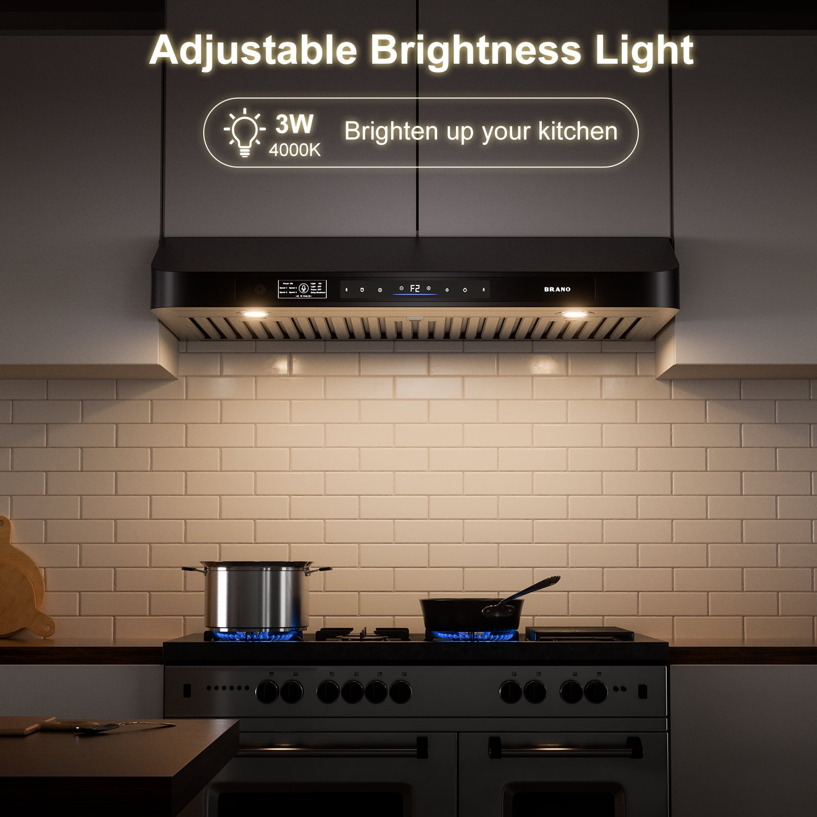 30 In. 900 CFM Ducted Under Cabinet Range Hood In Black Stainless Steel With Dishwasher Filter