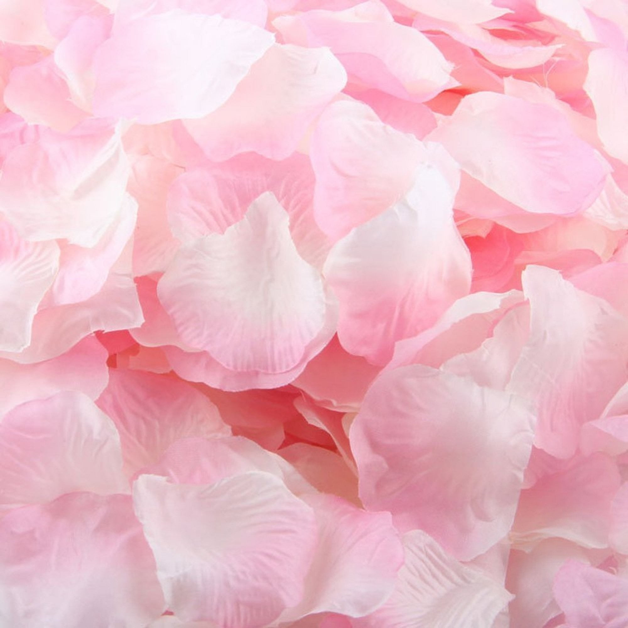 Blush + Ivory + Pink Rose Petals for Wedding Centerpieces 