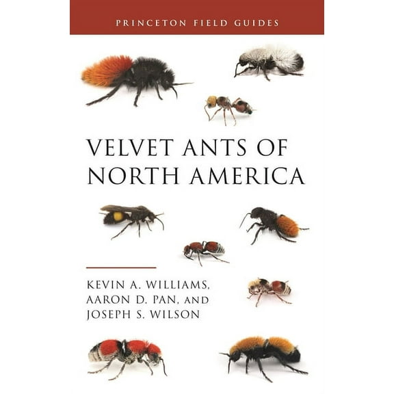 Princeton Field Guides Velvet Ants of North America, Book 145, (Paperback)