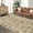 Beige, variant on Washed Back Low Pile Area Rug for Living Room, Washable Rugs for Bedroom, Hallway Runner, Large Non-Slip Carpet for Kitchen Dining Room
