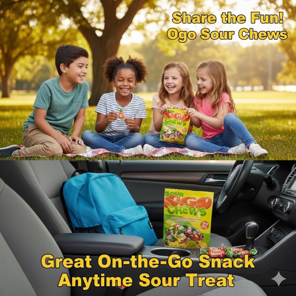 Ogo Sour Chews Fruit Flavored Chewy Candy, Individually Wrapped Sour Burst Center Candy (7 oz Bag)