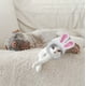 thumbnail image 4 of Sombrero para gatos y conejos Sombrero para perros pequeños y medianos Accesorios para la cabeza, 4 of 4