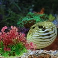 thumbnail image 4 of STRANDCHIC 1Pack Artificial Aquatic Plants Realistic Design For Fish Enthusiasts 5.89X5.89X3.93in, 4 of 6