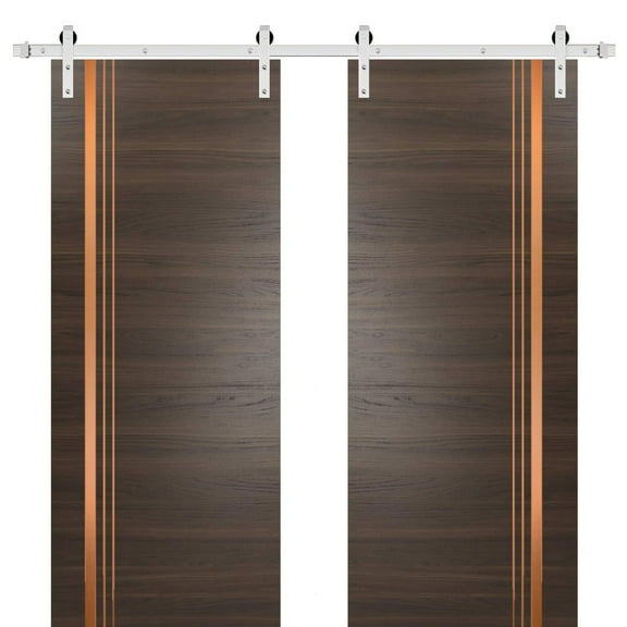 Sturdy Double Barn Door 36 x 80 inches with | Planum 1010 Chocolate Ash with Frosted Glass | Stainless Steel 13FT Rail Hangers Heavy Set | Solid Panel Interior Doors