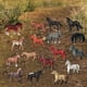 thumbnail image 3 of de Plástico Playset de Cumpleaños para Juguetducativo para Edades Tempranas Juguete de Aves Peque , 18 piezas un Hugo Figuras de animales, 3 of 7