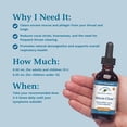 thumbnail image 4 of Native Remedies Mucus-Clear – Natural Mucus Relief for Adults – Clear Throat Phlegm Sinus Pressure Cough & Respiratory Discomfort – Daytime Mucus Relief & Lung Support – Fast-Acting – 2 Fl Oz, 4 of 7