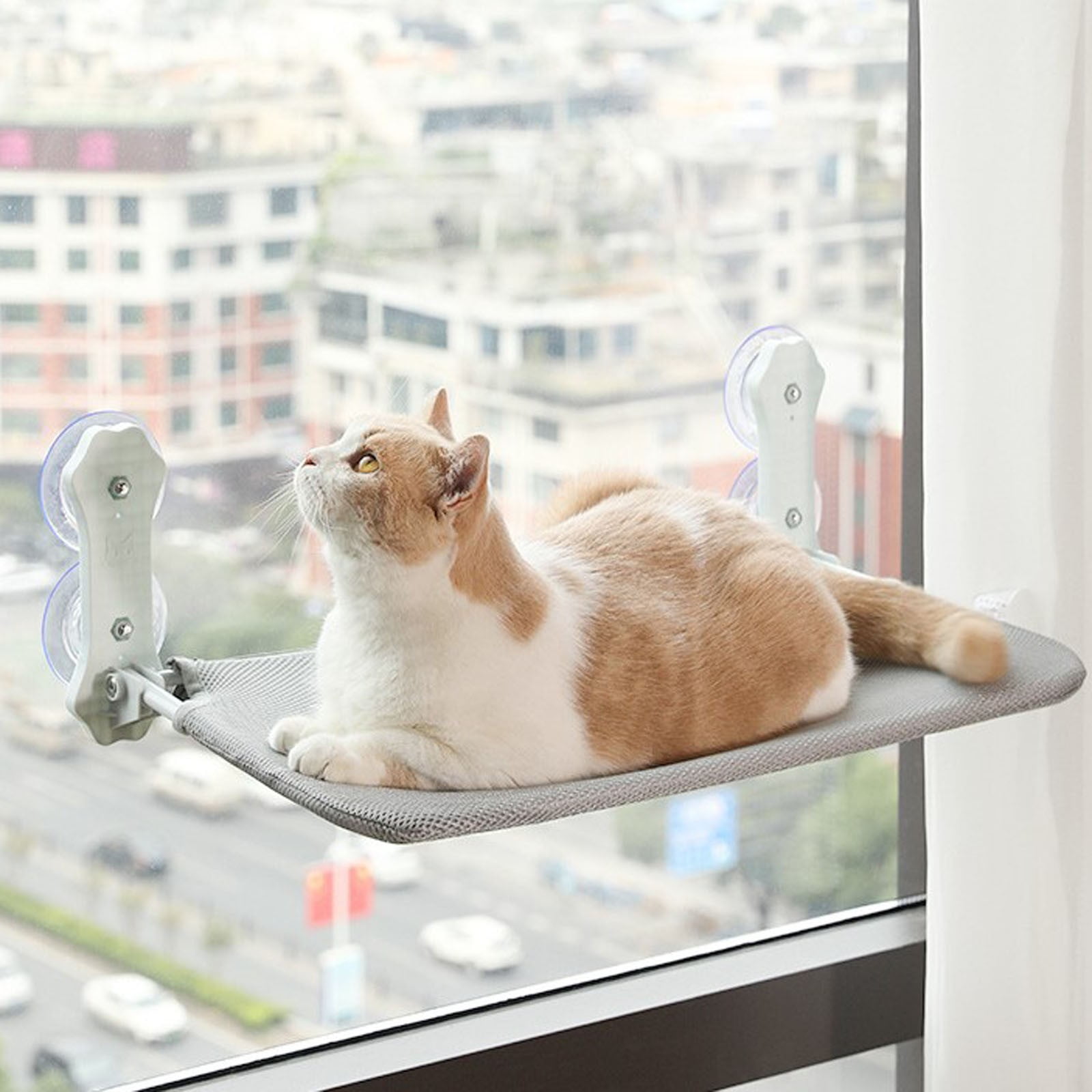 Cordless Window Cat Bed Foldable Stable Sill Seat Lounger Upgraded Suction Cup Easy Assembly Indoor Pet Shelf